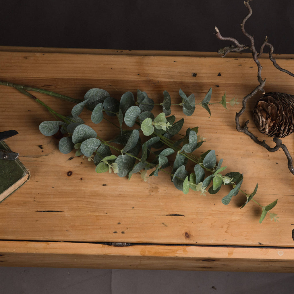 Green leaves on a wooden surface with a pine cone and books.