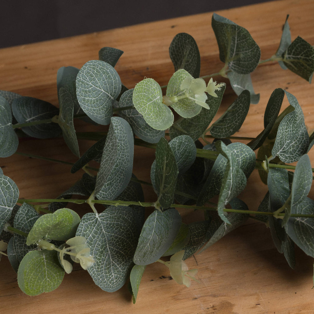 Green leaves on a wooden surface