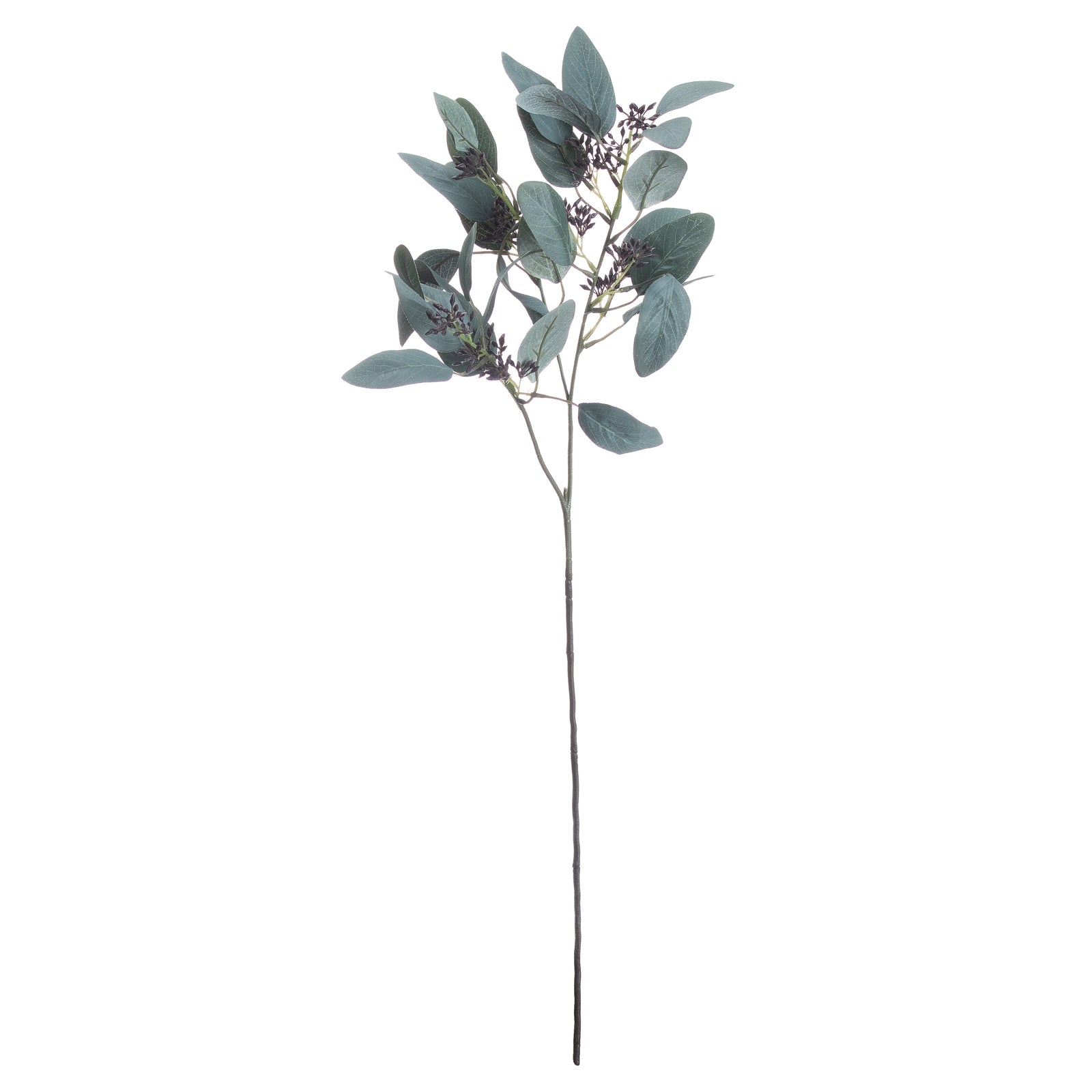 Artificial eucalyptus branch. Home Decor