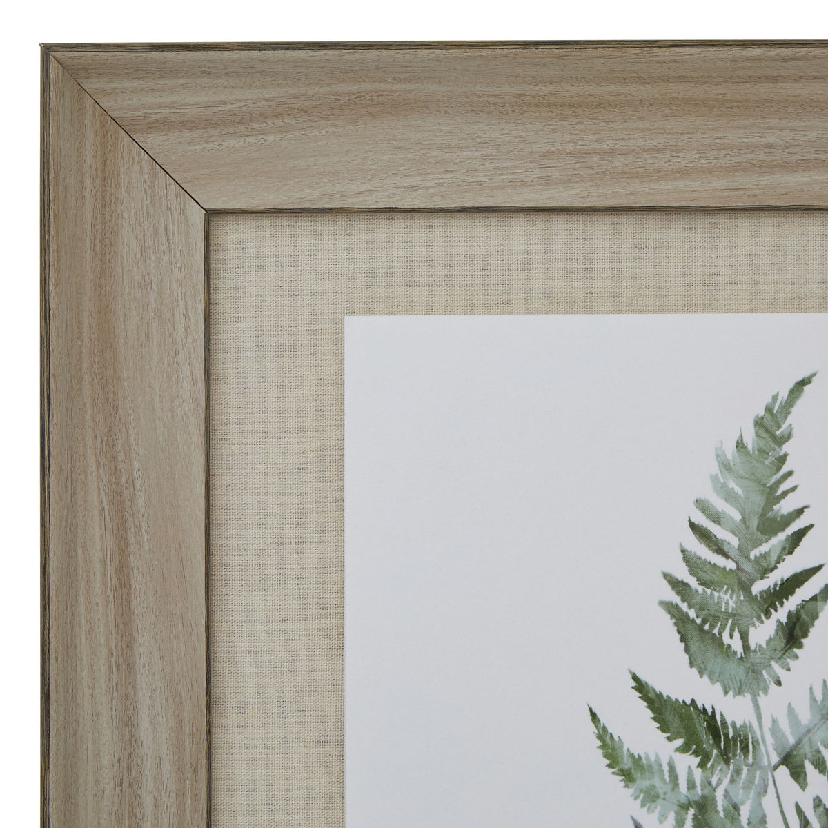 Watercolour Bracken Fern In Washed Wood Frame by Hill Interiors