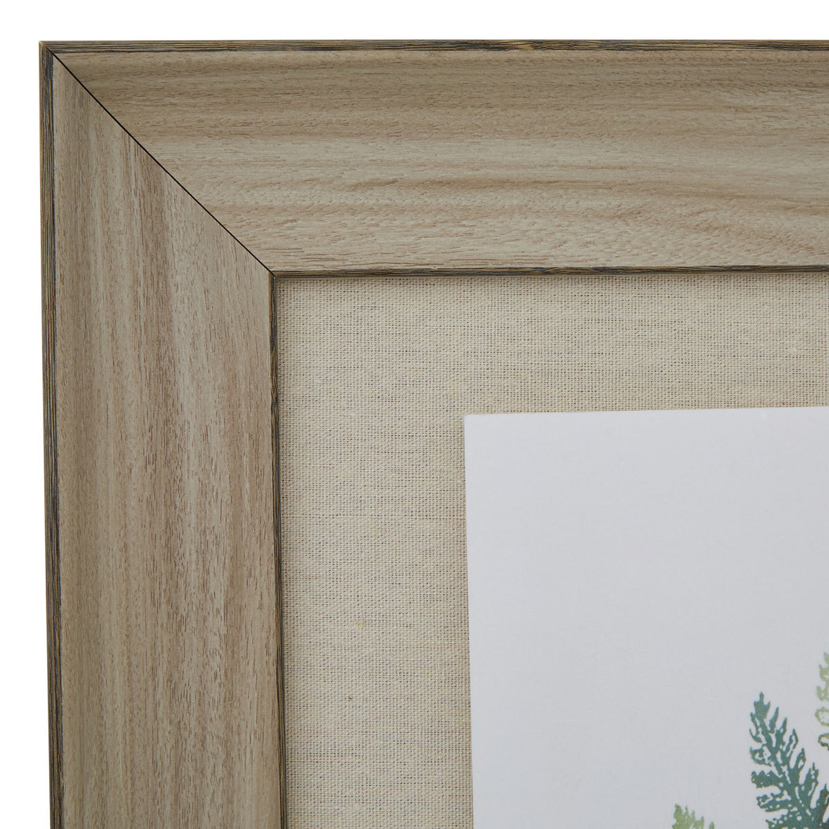 Watercolour Fern Duo In Washed Wood Frame by Hill Interiors