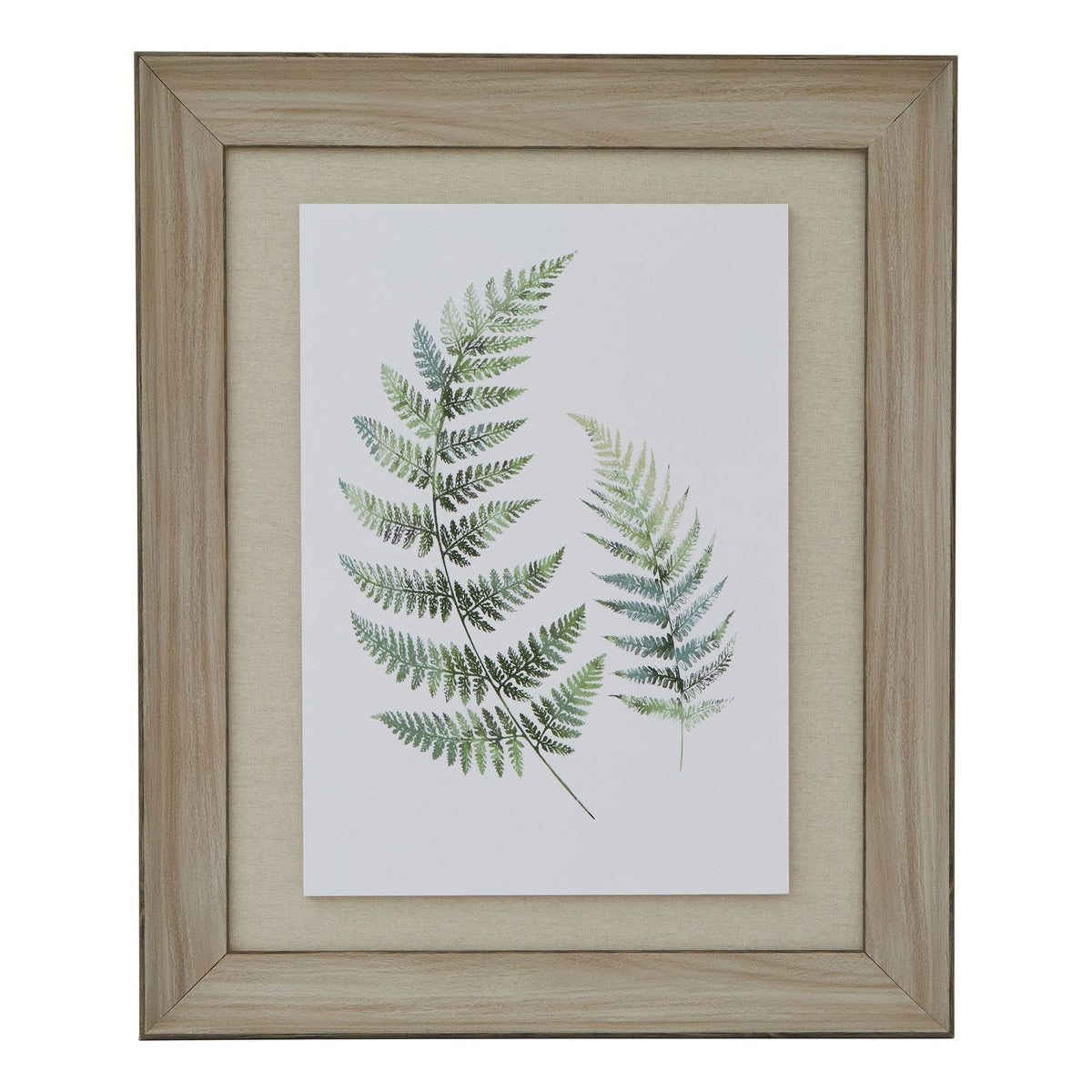 Watercolour Fern Duo In Washed Wood Frame by Hill Interiors