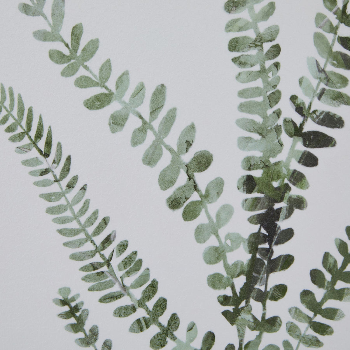 Watercolour Delicate Fern In Washed Wood Frame by Hill Interiors