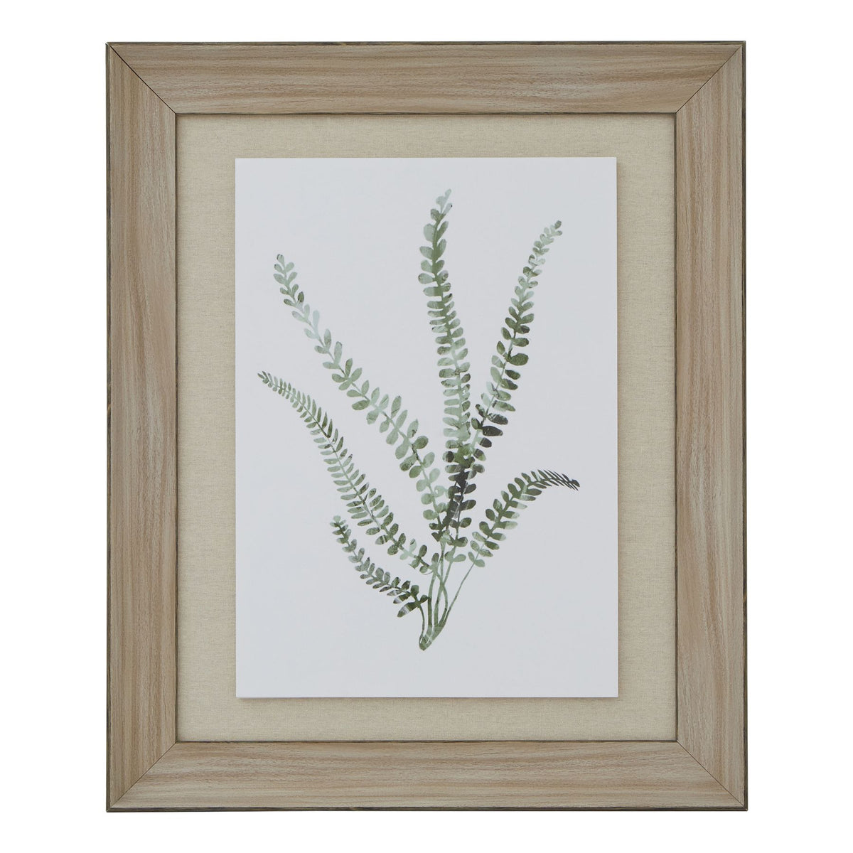 Watercolour Delicate Fern In Washed Wood Frame by Hill Interiors