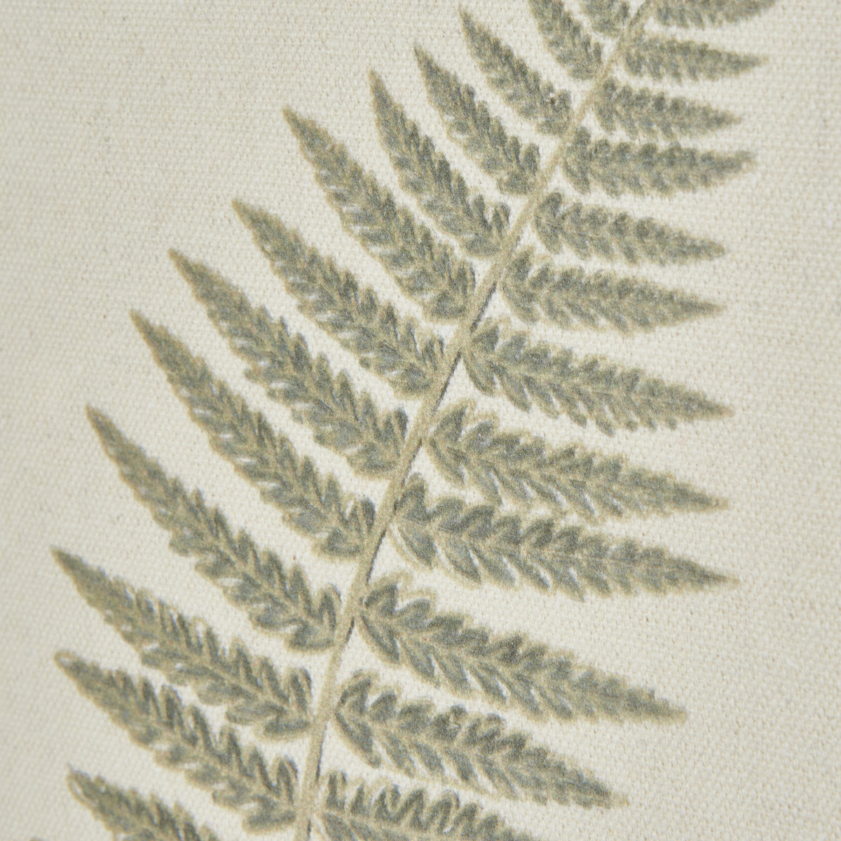 Fern Art On Texture-Torn Paper With Beaded Frame by Hill Interiors
