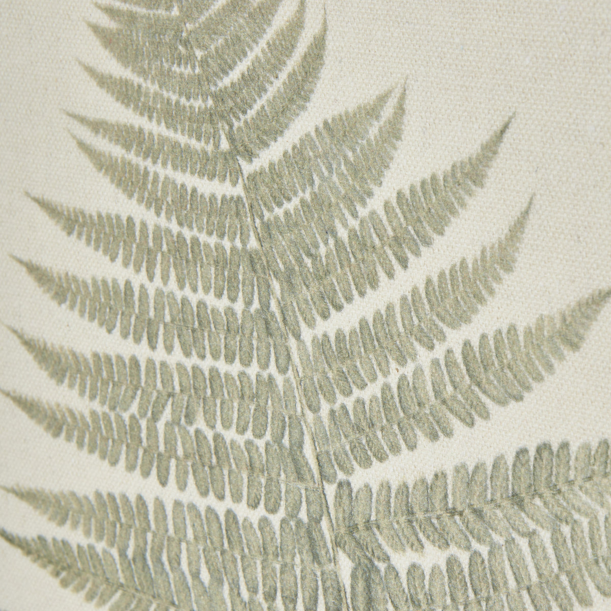 Bracken Art On Texture-Torn Paper With Beaded Frame by Hill Interiors