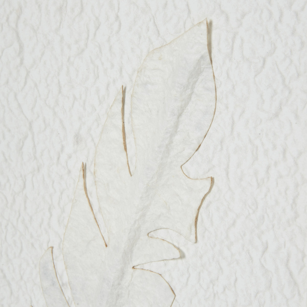 Solli White Feathers Art Mounted In Beaded Frame by Hill Interiors