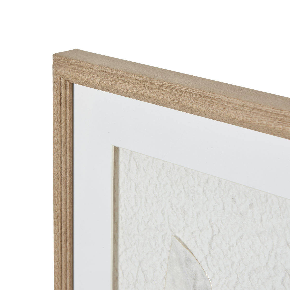 Solli White Feathers Art Mounted In Beaded Frame by Hill Interiors