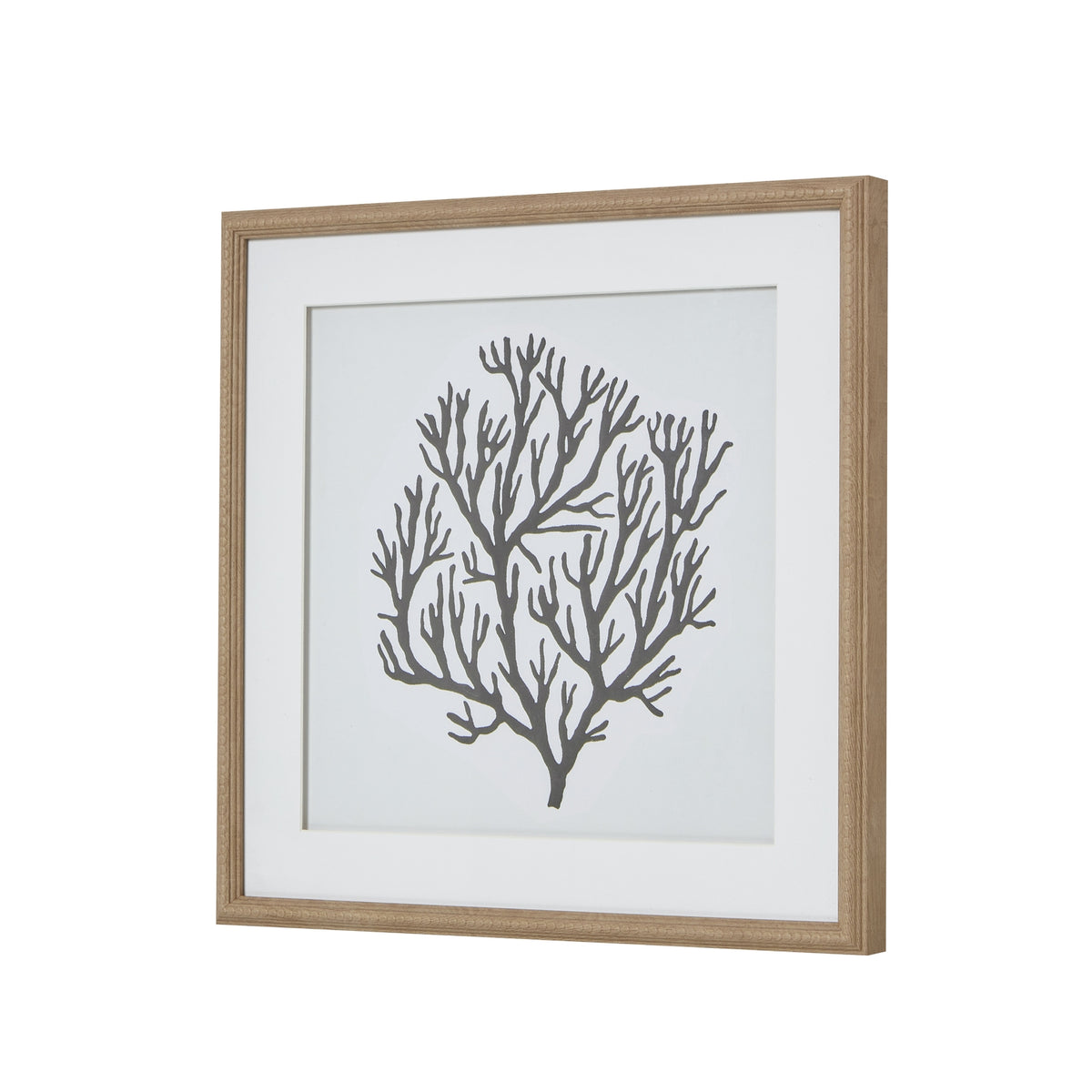 Atol Coral Art Mounted In Beaded Frame by Hill Interiors