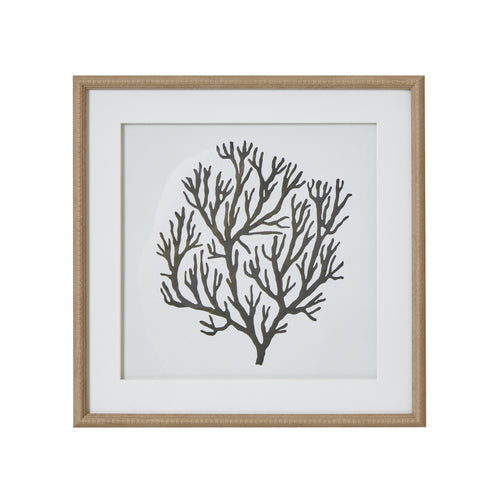 Atol Coral Art Mounted In Beaded Frame by Hill Interiors