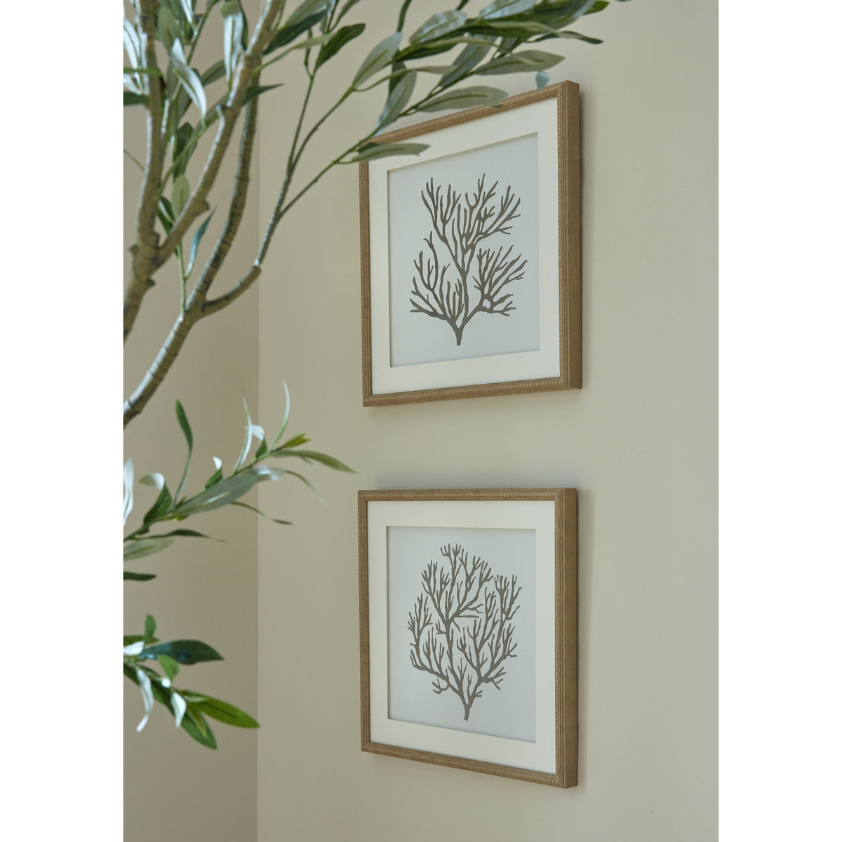 Reef Coral Art Mounted In Beaded Frame by Hill Interiors