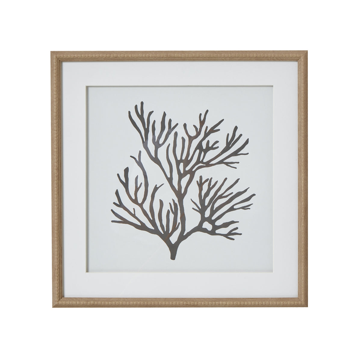 Reef Coral Art Mounted In Beaded Frame by Hill Interiors