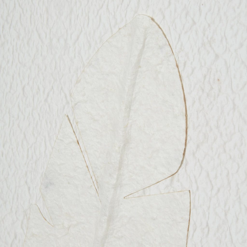 Large Quill White Feather Art Mounted In Beaded Frame by Hill Interiors