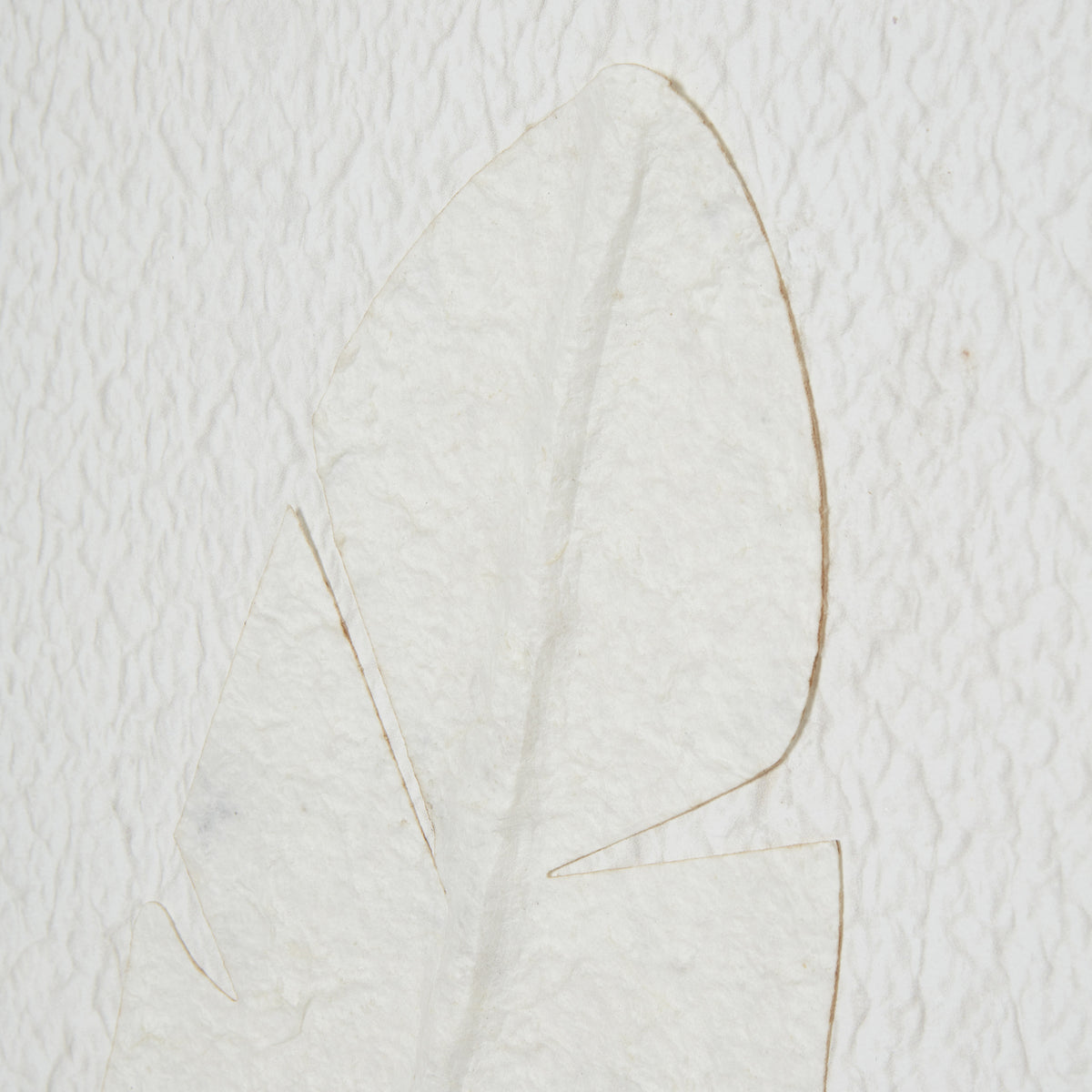 Large Quill White Feather Art Mounted In Beaded Frame by Hill Interiors