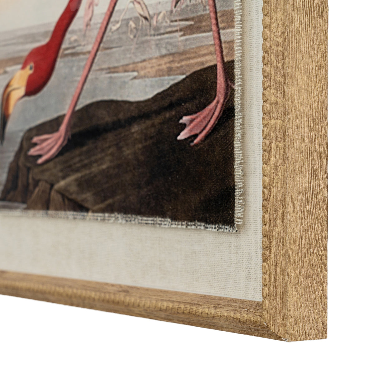 Flora & Fauna Collection Flamingo On Linen In Beaded Frame by Hill Interiors