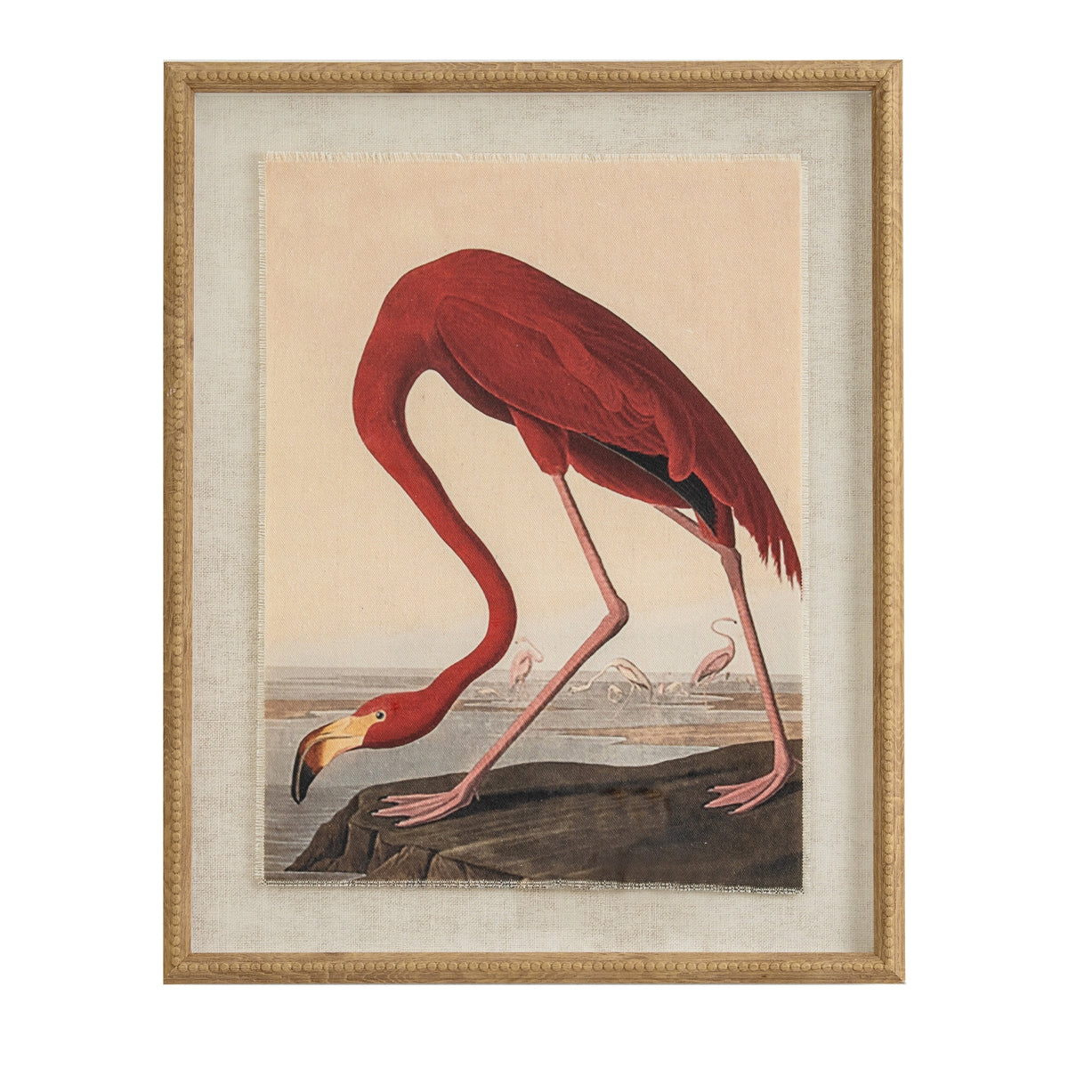 Flora & Fauna Collection Flamingo On Linen In Beaded Frame by Hill Interiors