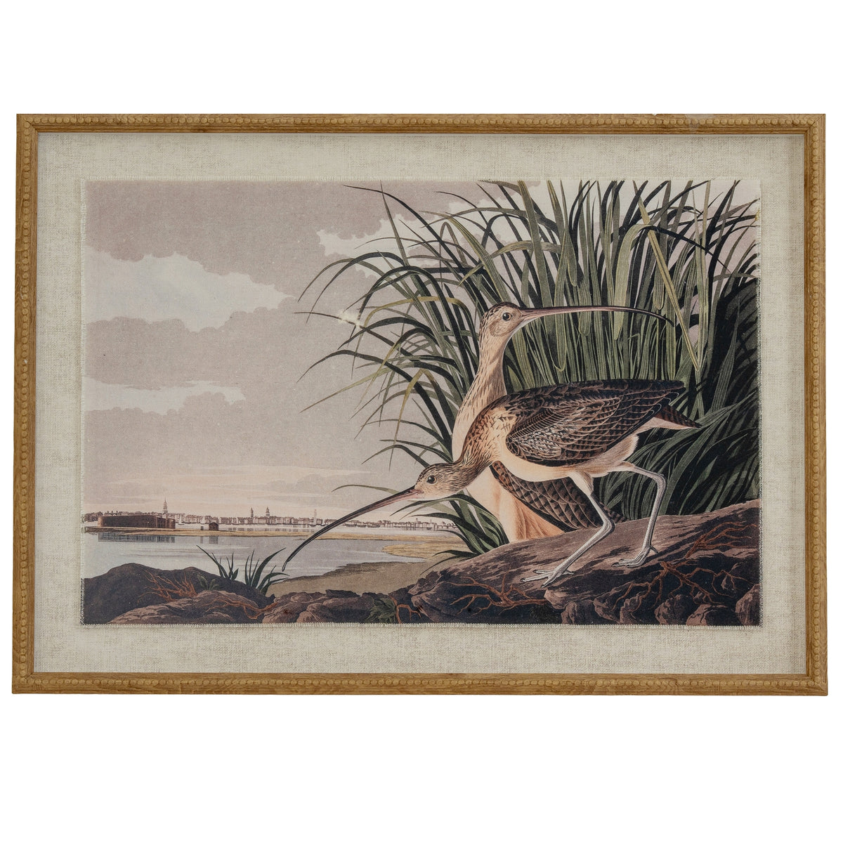 Flora & Fauna Collection Curlews On Linen In Beaded Frame by Hill Interiors