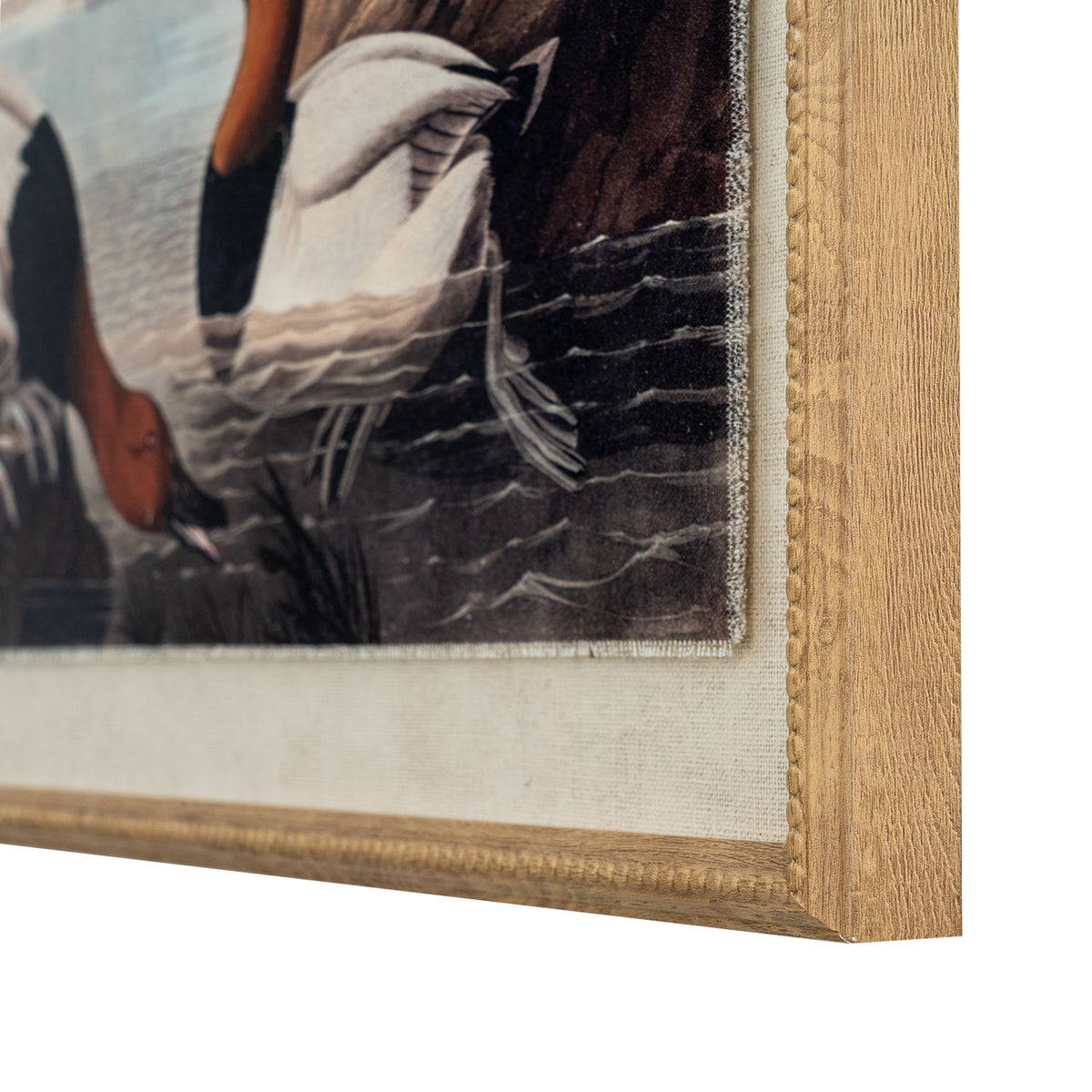 Flora & Fauna Collection Pochards On Linen In Beaded Frame by Hill Interiors