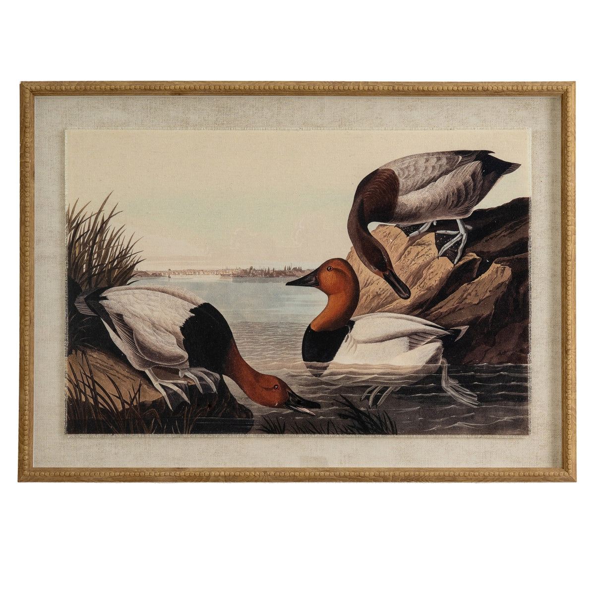 Flora & Fauna Collection Pochards On Linen In Beaded Frame by Hill Interiors