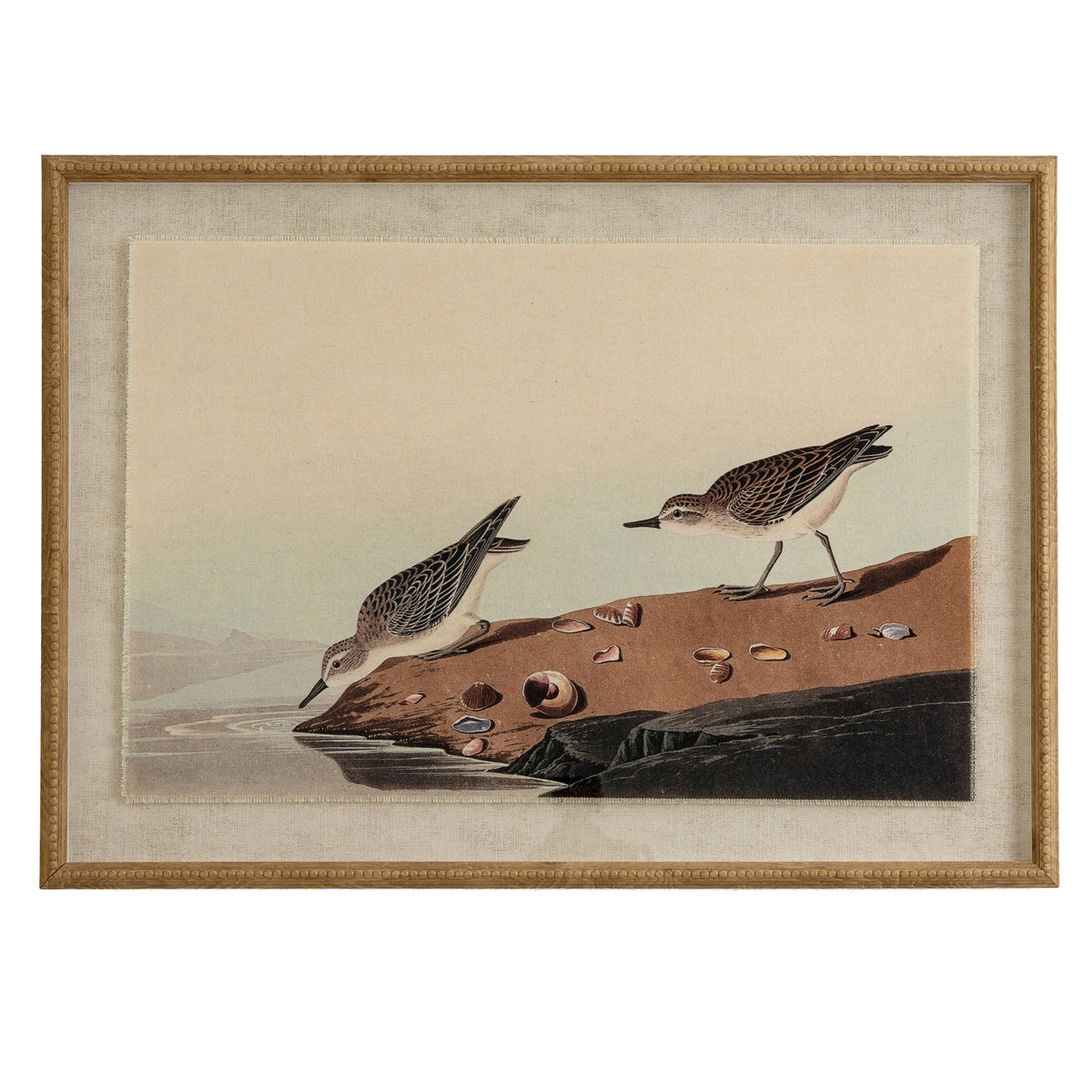 Flora & Fauna Collection Stints On Linen In Beaded Frame by Hill Interiors