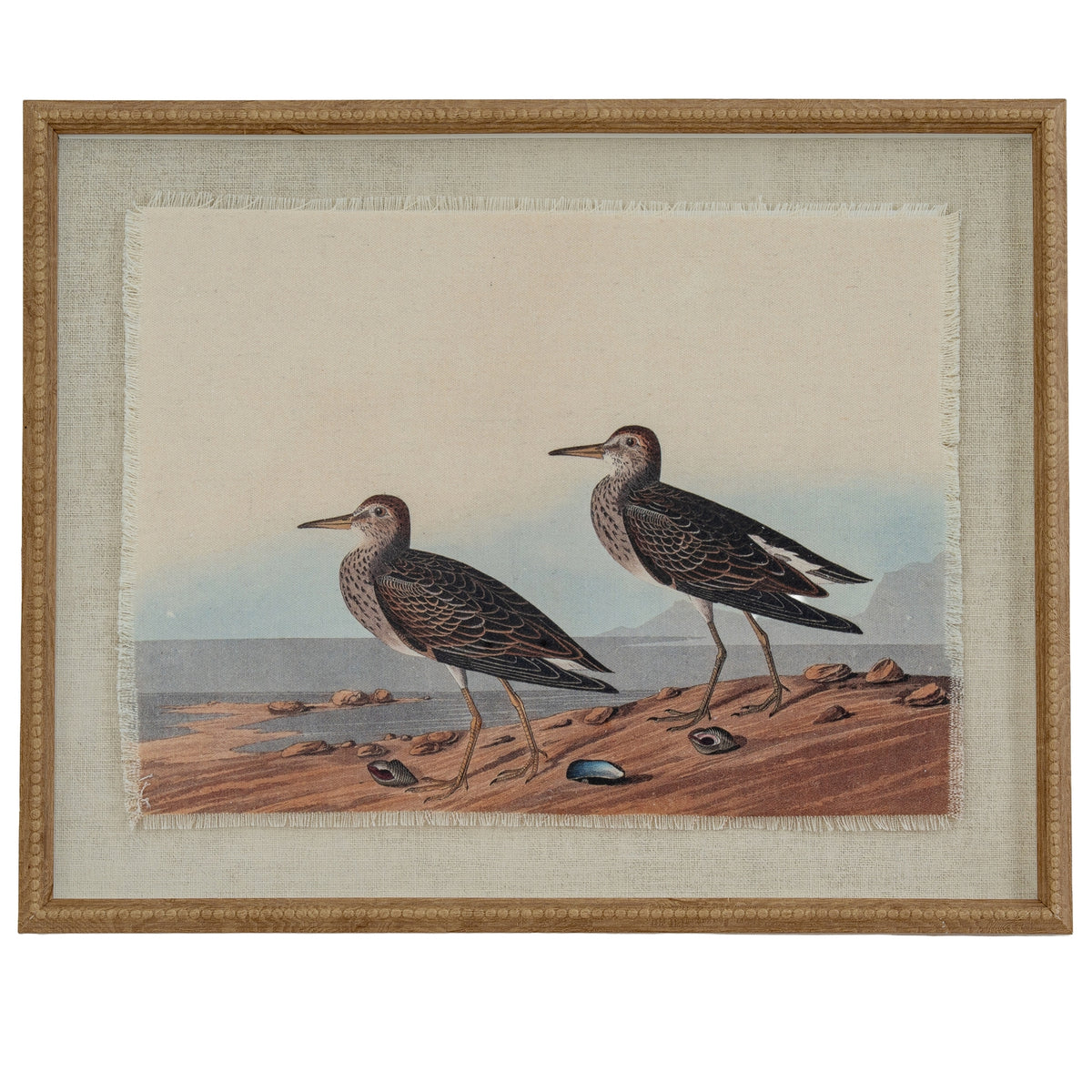 Flora & Fauna Collection Sandpipers On Linen In Beaded Frame by Hill Interiors