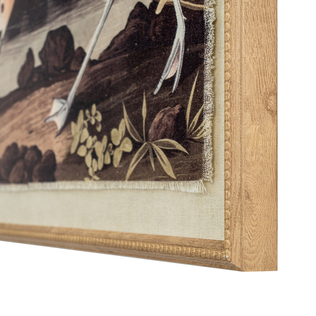 Flora & Fauna Collection Avocet On Linen In Beaded Frame by Hill Interiors
