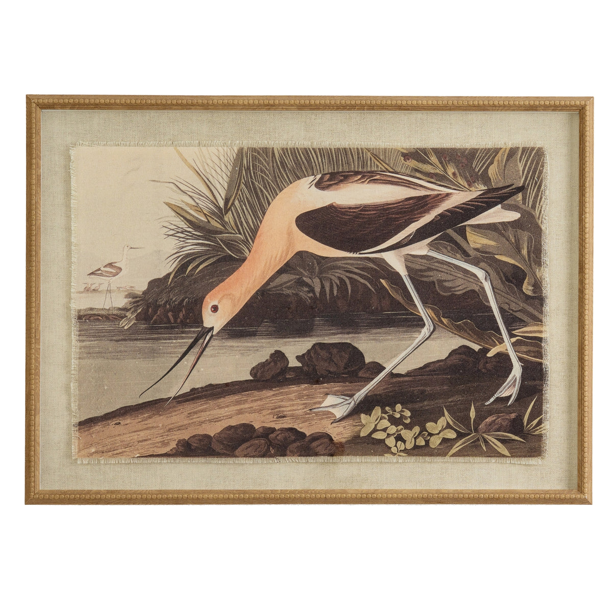 Flora & Fauna Collection Avocet On Linen In Beaded Frame by Hill Interiors
