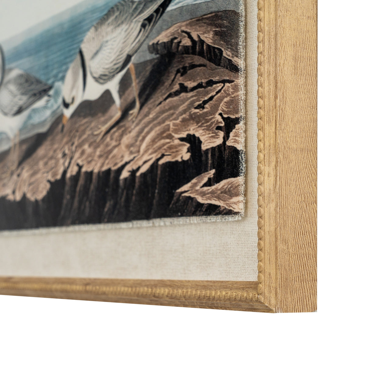 Flora & Fauna Collection Plovers On Linen In Beaded Frame by Hill Interiors