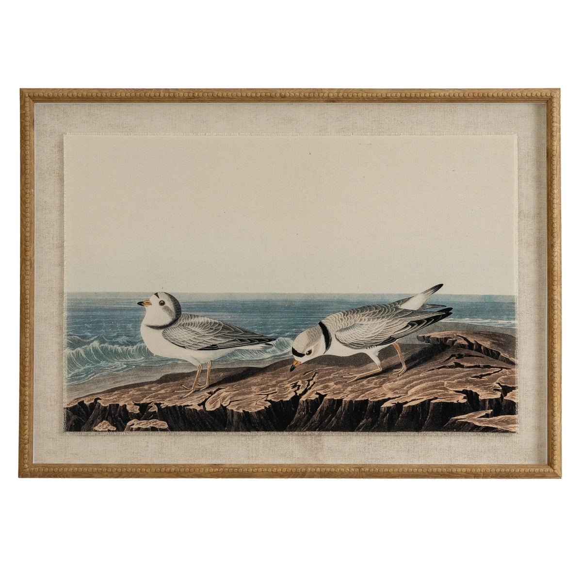 Flora & Fauna Collection Plovers On Linen In Beaded Frame by Hill Interiors