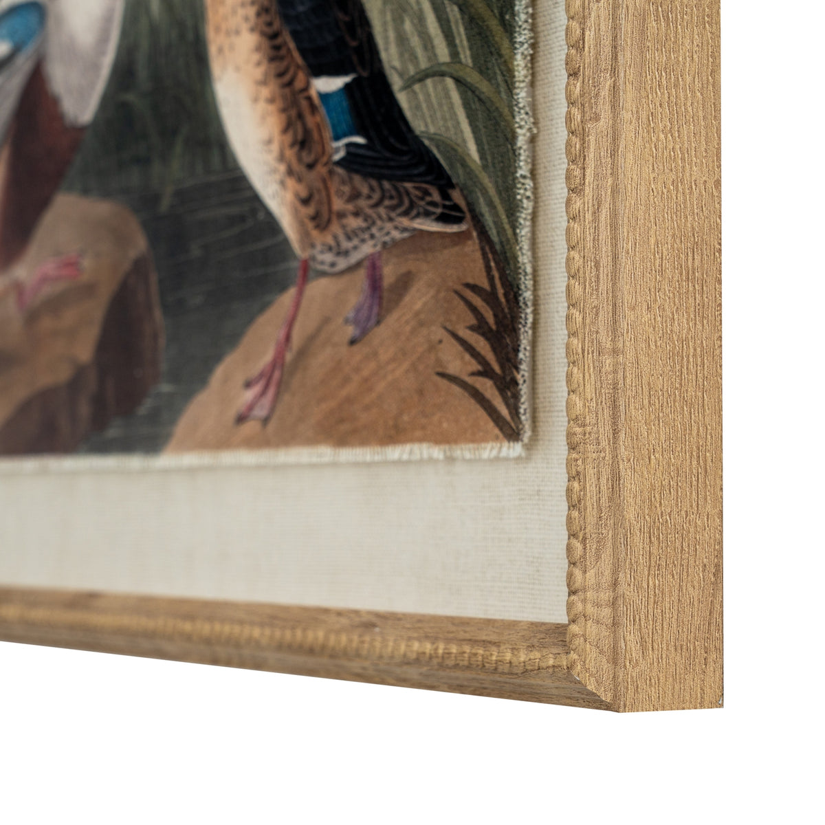 Flora & Fauna Collection Mallards On Linen In Beaded Frame by Hill Interiors