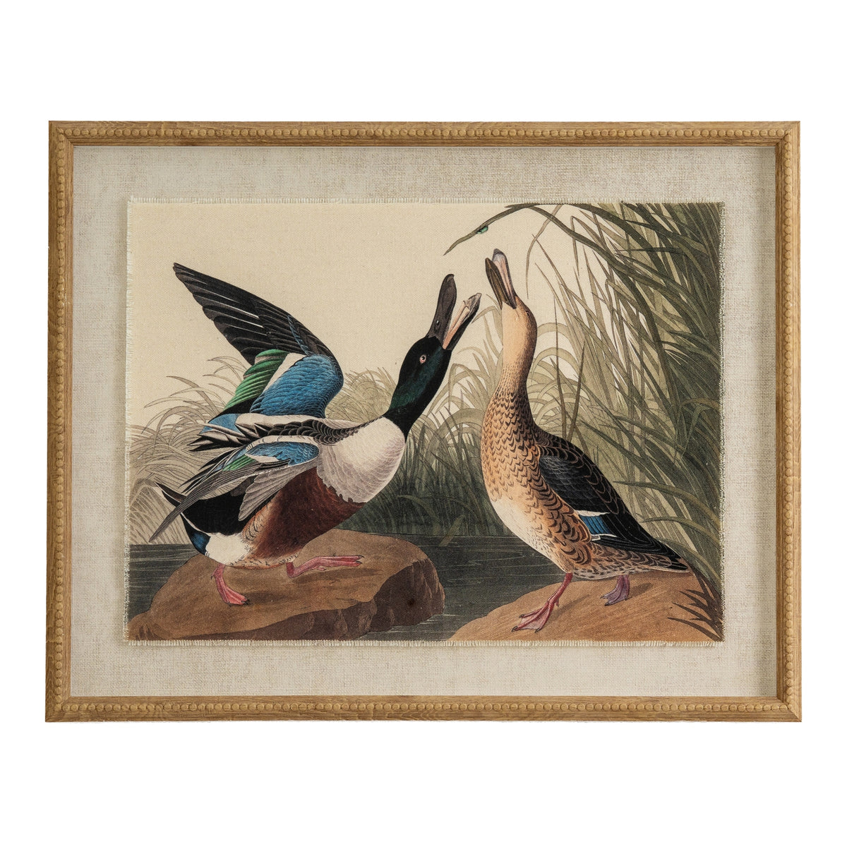 Flora & Fauna Collection Mallards On Linen In Beaded Frame by Hill Interiors