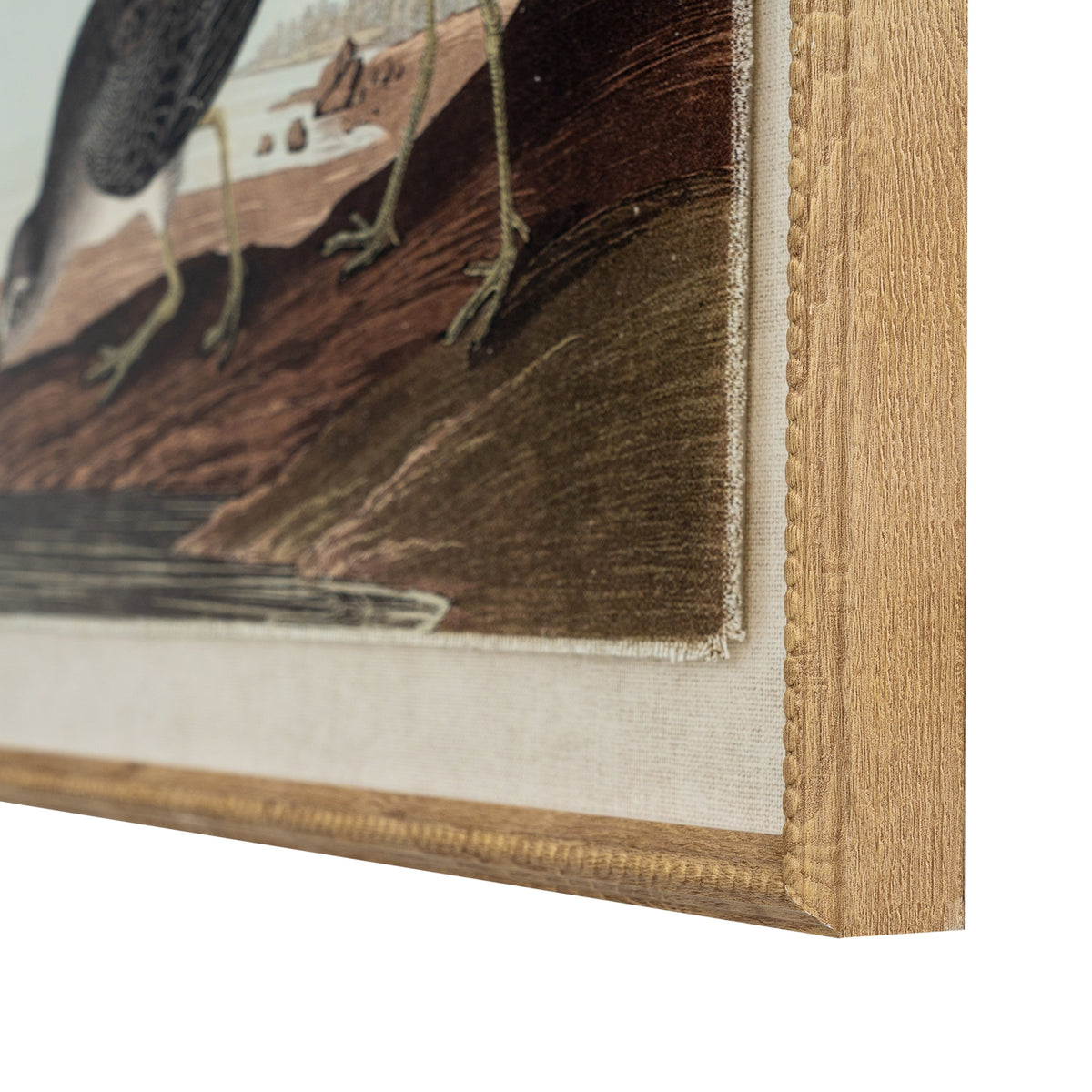 Flora & Fauna Collection Snipes On Linen In Beaded Frame by Hill Interiors