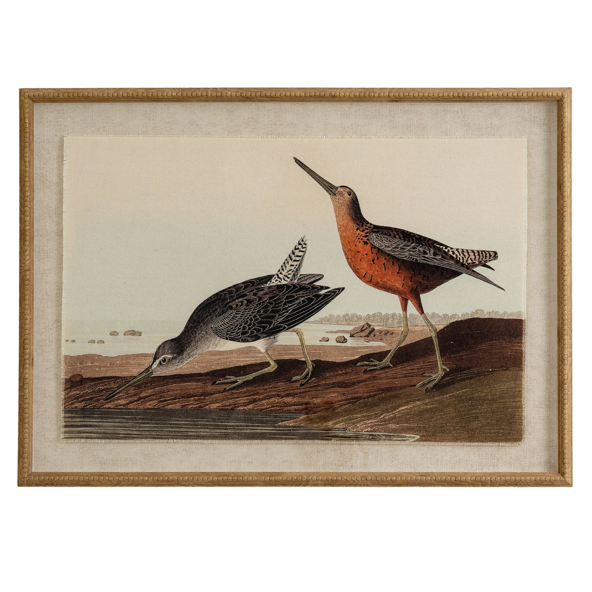 Flora & Fauna Collection Snipes On Linen In Beaded Frame by Hill Interiors