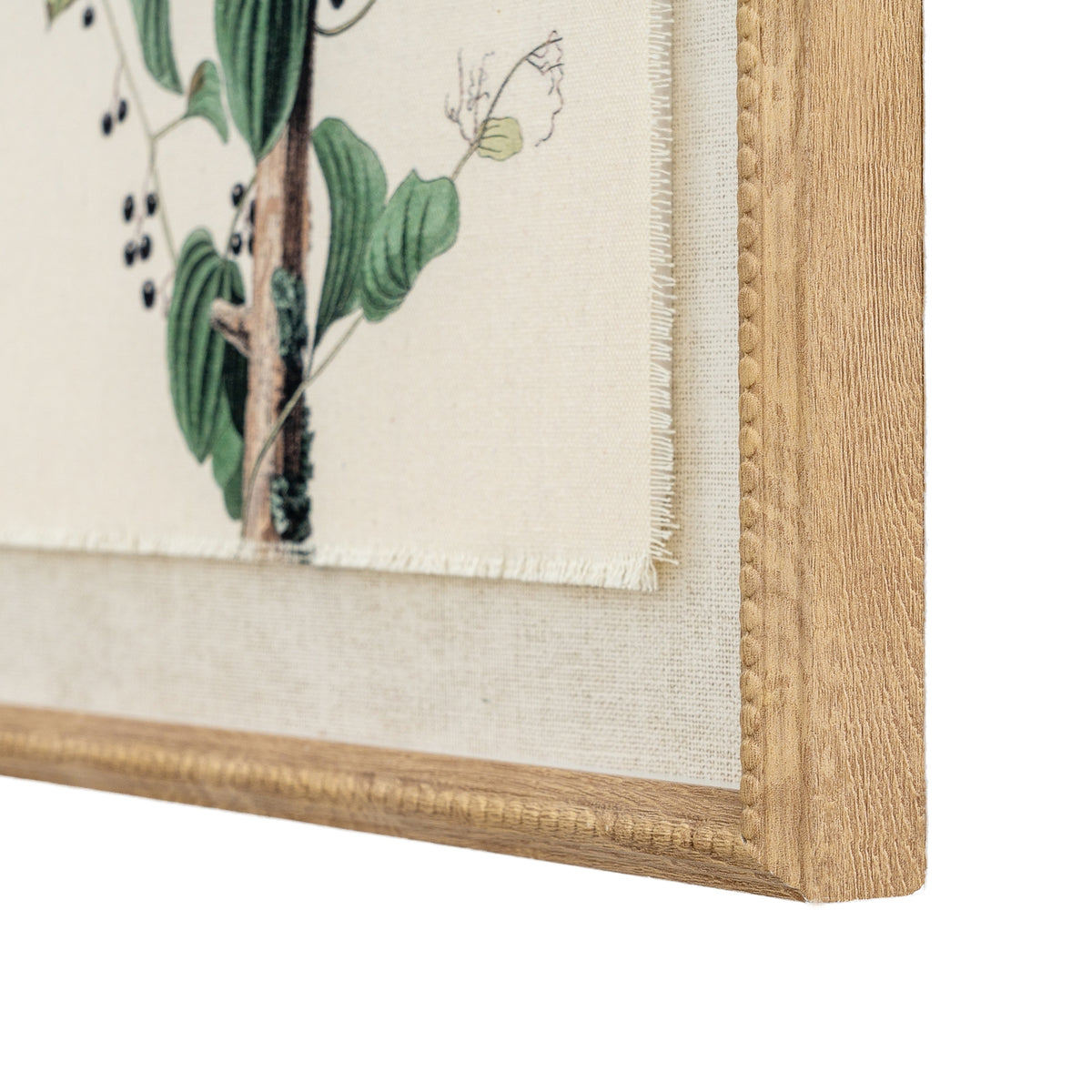 Flora & Fauna Collection Shrikes On Linen In Beaded Frame by Hill Interiors