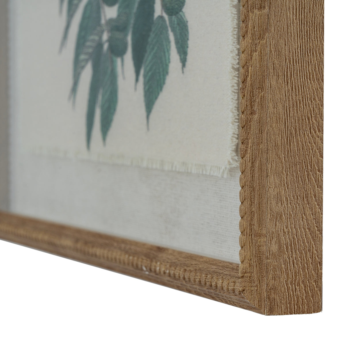 Flora & Fauna Collection Warblers On Linen In Beaded Frame by Hill Interiors