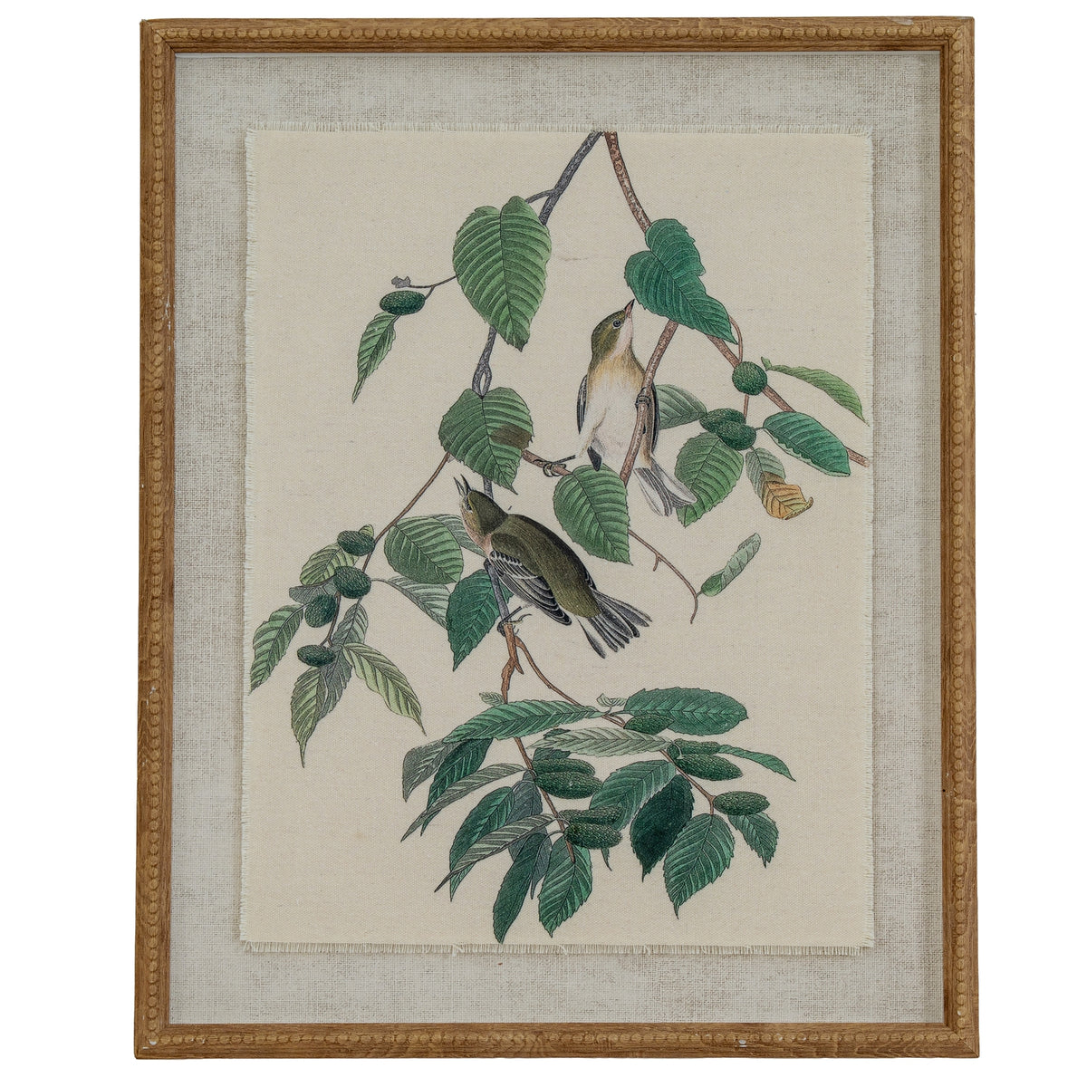Flora & Fauna Collection Warblers On Linen In Beaded Frame by Hill Interiors