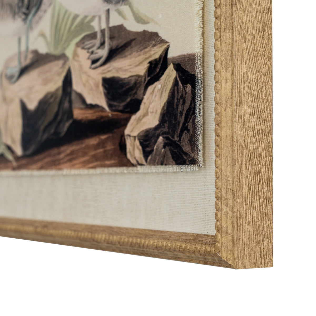 Flora & Fauna Collection Teals On Linen In Beaded Frame by Hill Interiors