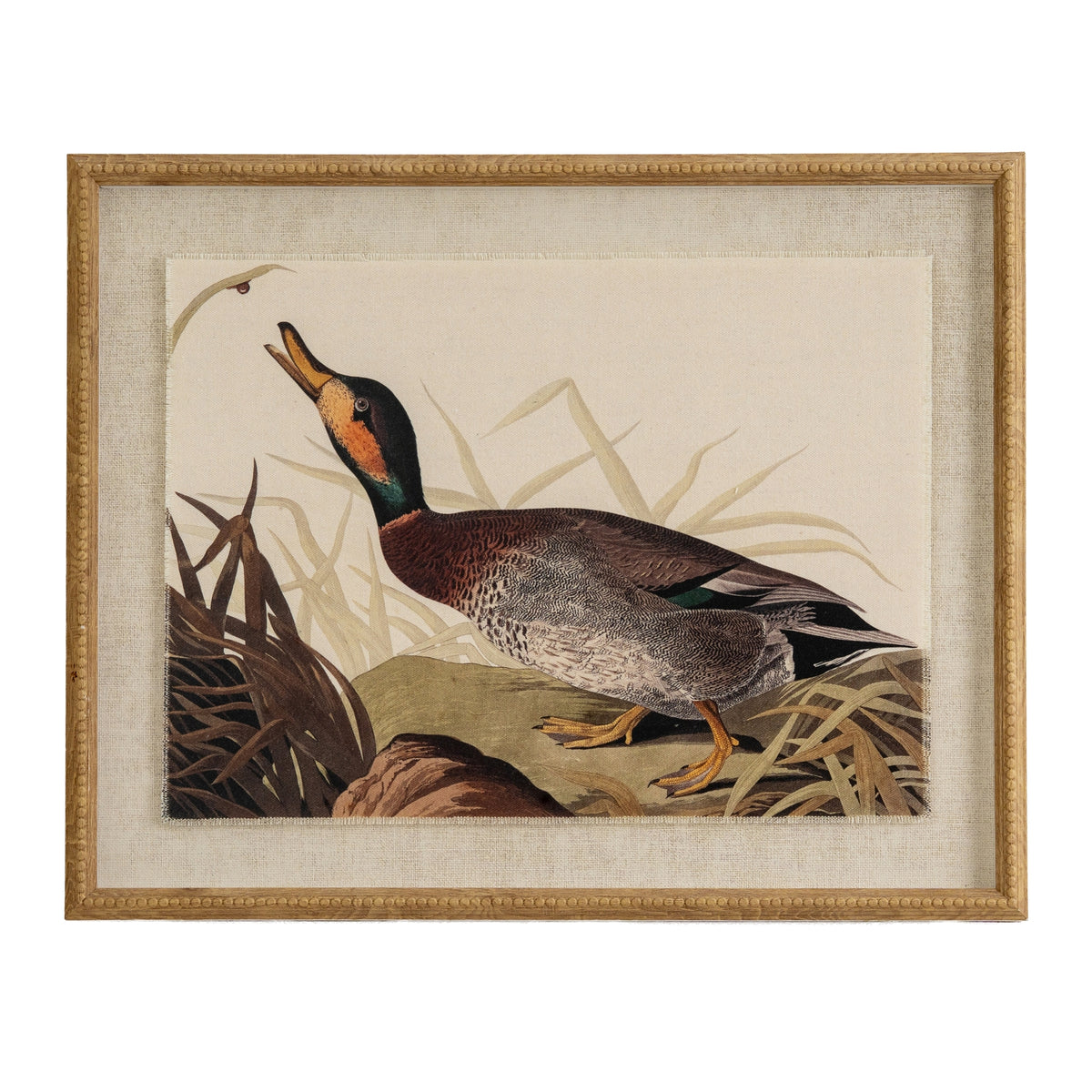 Flora & Fauna Collection Duck On Linen In Beaded Frame by Hill Interiors