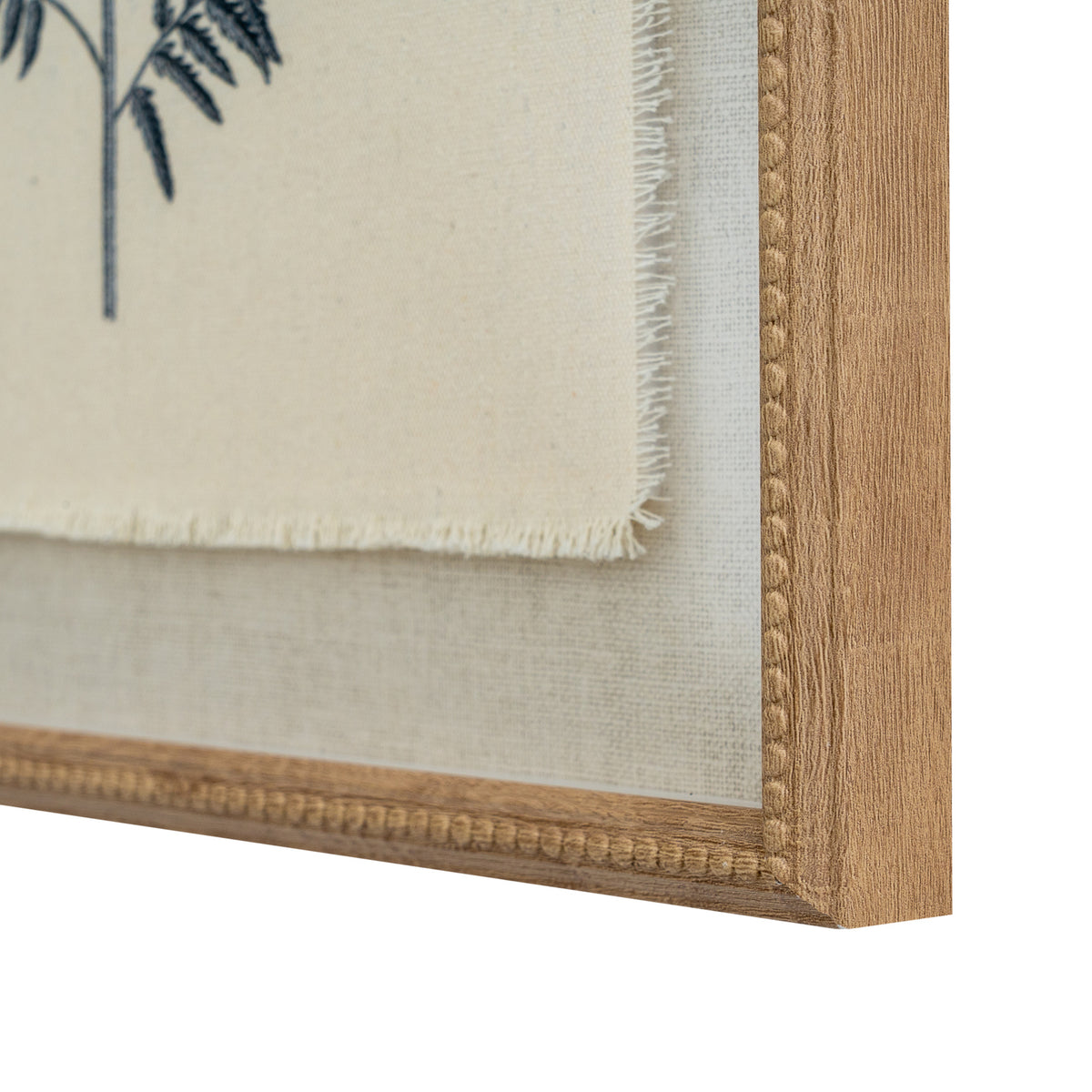 Flora & Fauna Collection Beech Fern On Linen In Beaded Frame by Hill Interiors