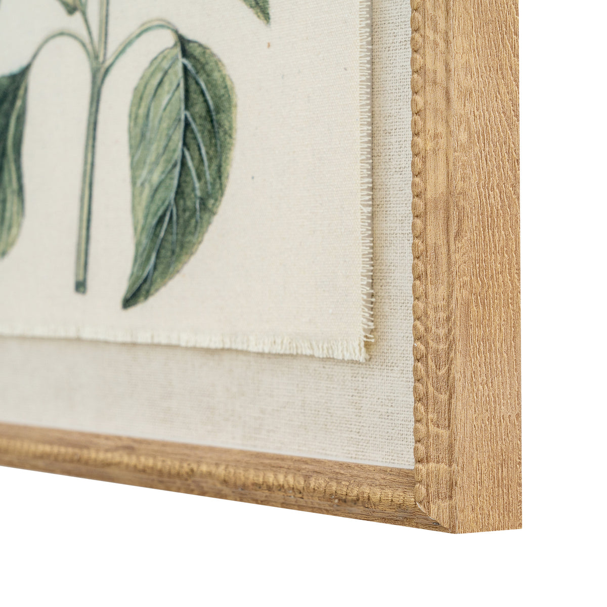 Flora & Fauna Collection Salvia On Linen In Beaded Frame by Hill Interiors