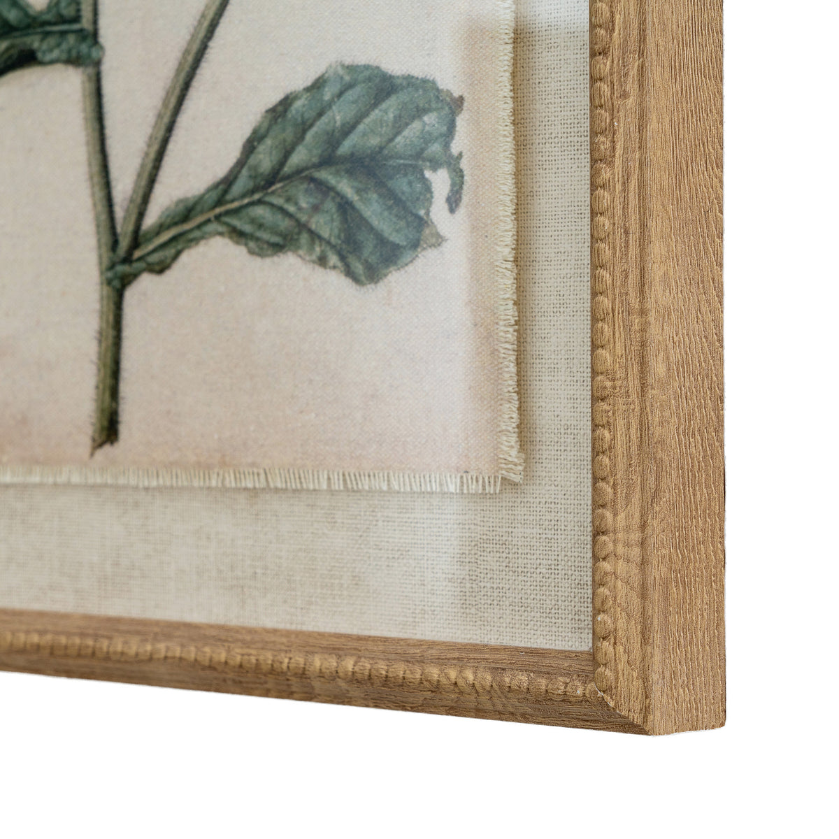 Flora & Fauna Collection Borage On Linen In Beaded Frame by Hill Interiors