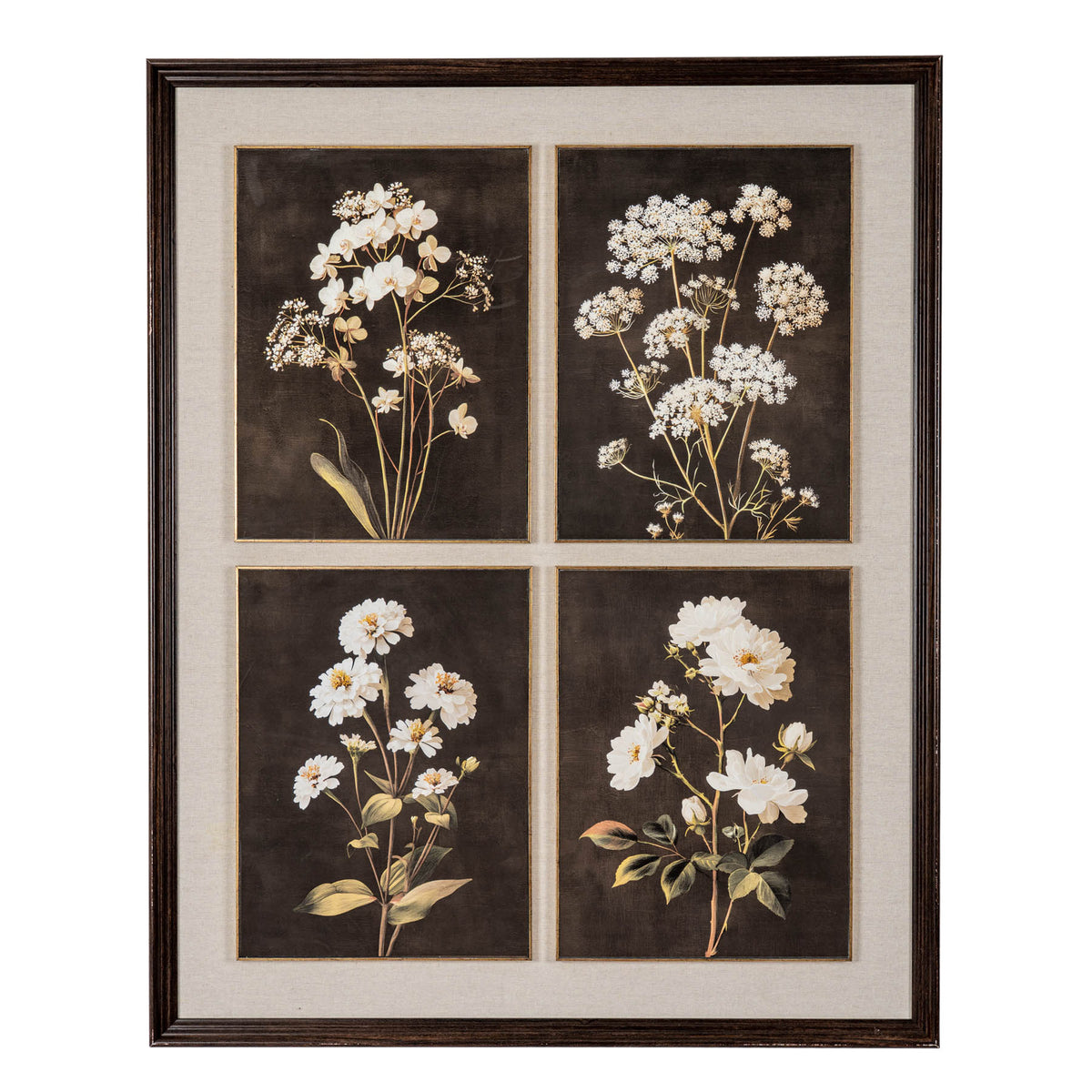 Flora & Fauna Collection Four Botanicals in Classic Frame by Hill Interiors