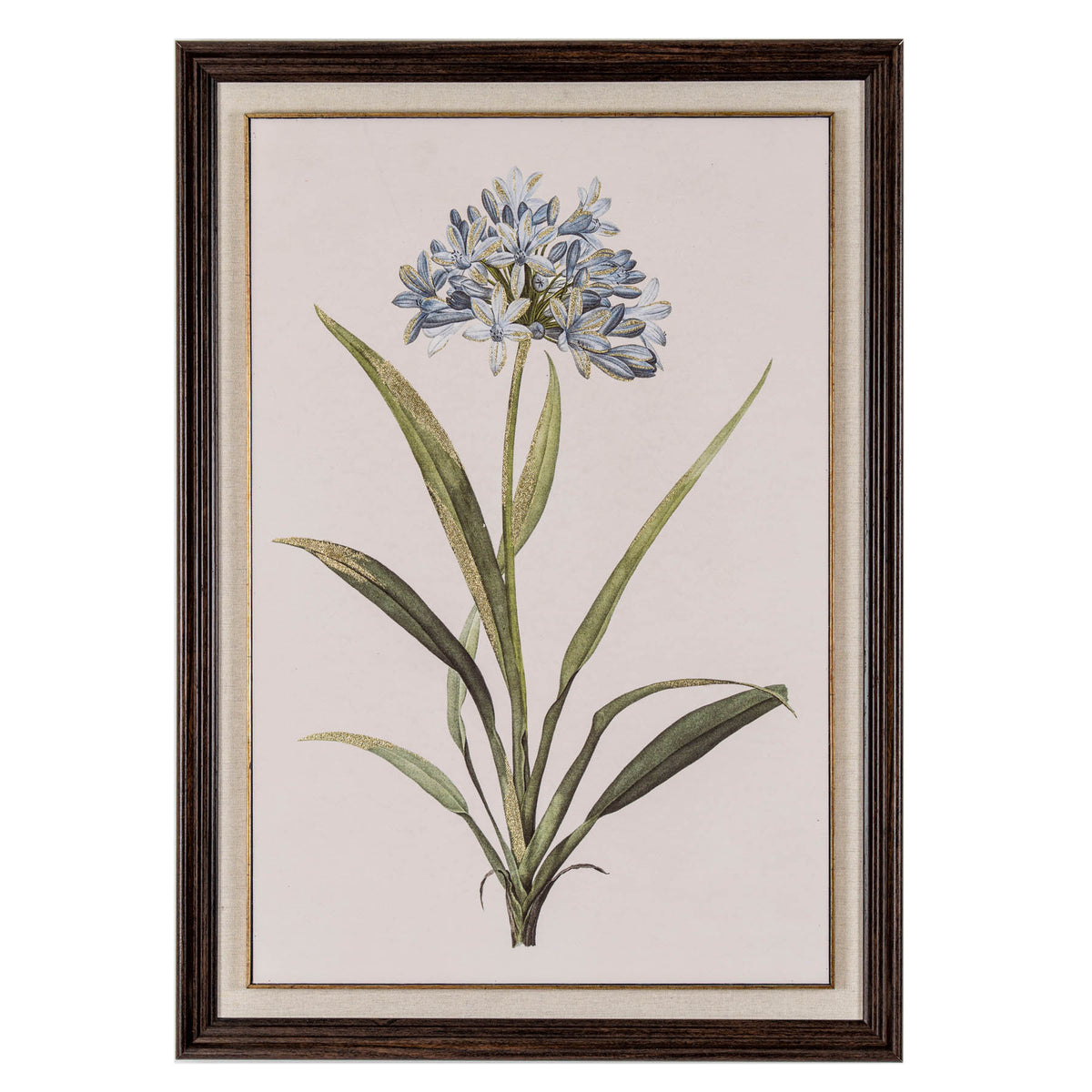 Flora & Fauna Collection Blue Wildflower in Frame by Hill Interiors