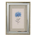 Rosalie Textured Paper Dahlia in Mirrored Frame by Hill Interiors