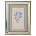 Rosalie Textured Paper Bluebell in Mirrored Frame by Hill Interiors