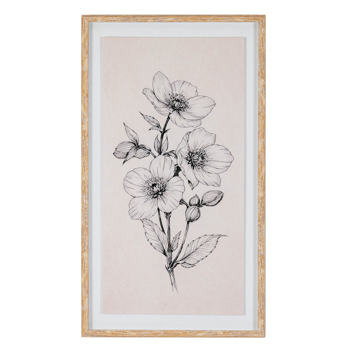 Sketchbook Hellebore in Frame by Hill Interiors