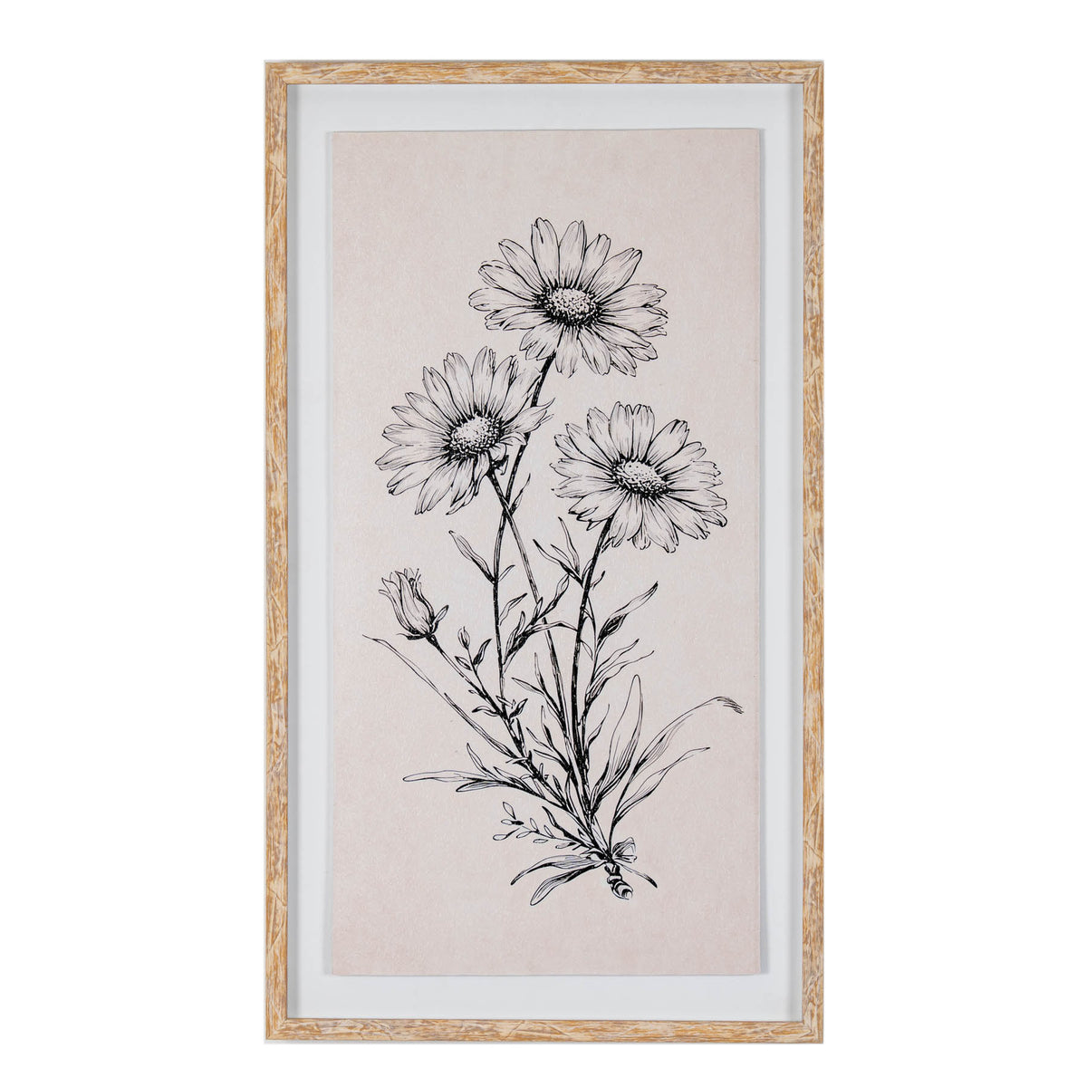 Sketchbook Daisies in Frame by Hill Interiors
