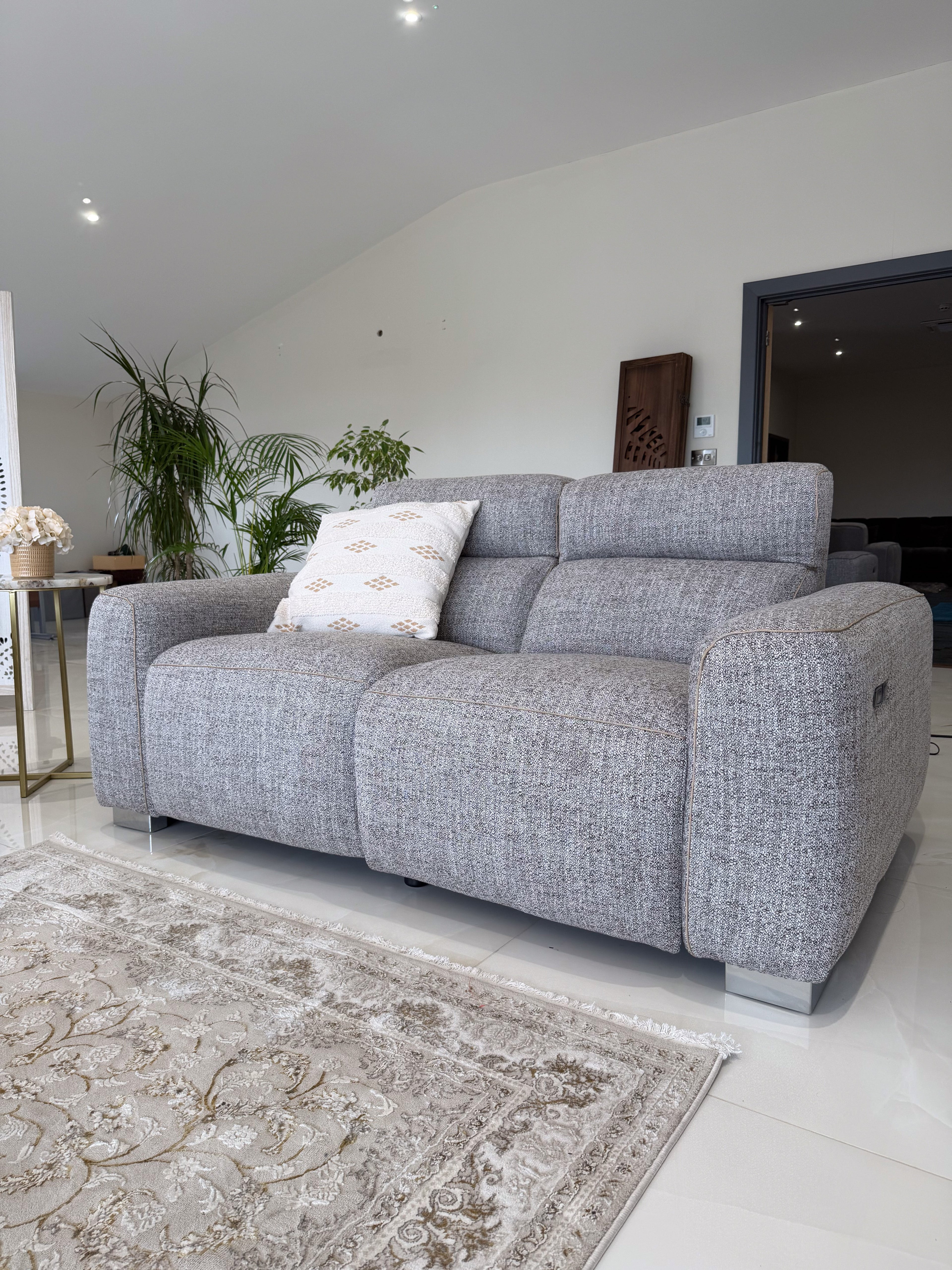 Gray sofa in a living room with a patterned rug and plants.